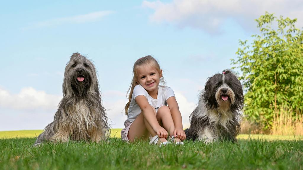 Calm Isn’t The Absence of&nbsp;Chaos